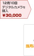 12月10日 デジタルカメラを購入
30,000円