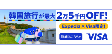 韓国行くならVisa!