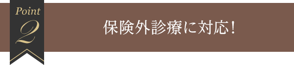 2 保険外診療に対応！