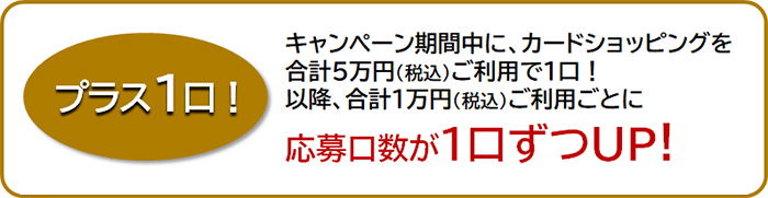 プラス1口!
キャンペーン期間中に、カードショッピングを合計5万円（税込）ご利用で1口！
以降、合計1万円（税込）ご利用ごとに応募口数が1口ずつUP！