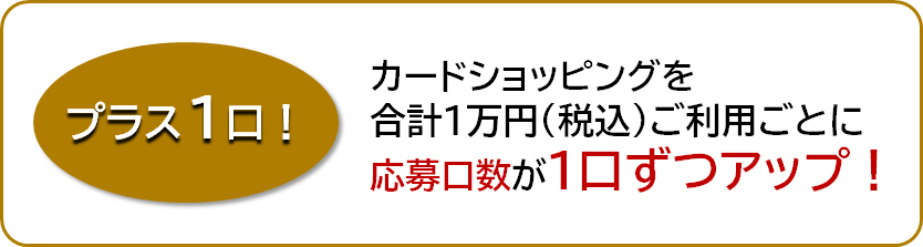 プラス1口
カードショッピングを合計1万円（税込）ご利用ごとに応募口数が1口ずつアップ！