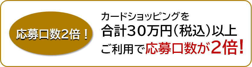 応募口数が2倍！
カードショッピングを合計30万円（税込）以上ご利用で応募口数が2倍！