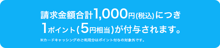 請求金額合計1,000円(税込)につき1ポイント(5円相当)が付与されます。