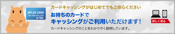 カードキャッシングがはじめてでもご安心ください　お持ちのカードでキャッシングがご利用いただけます！