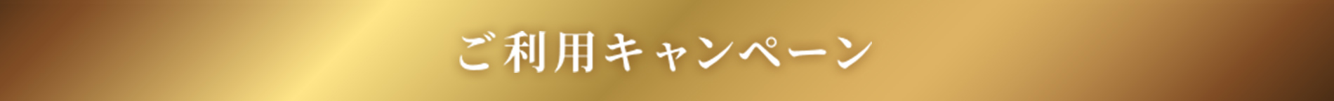 Egoist Tカード プラス アプラス 新生銀行グループ