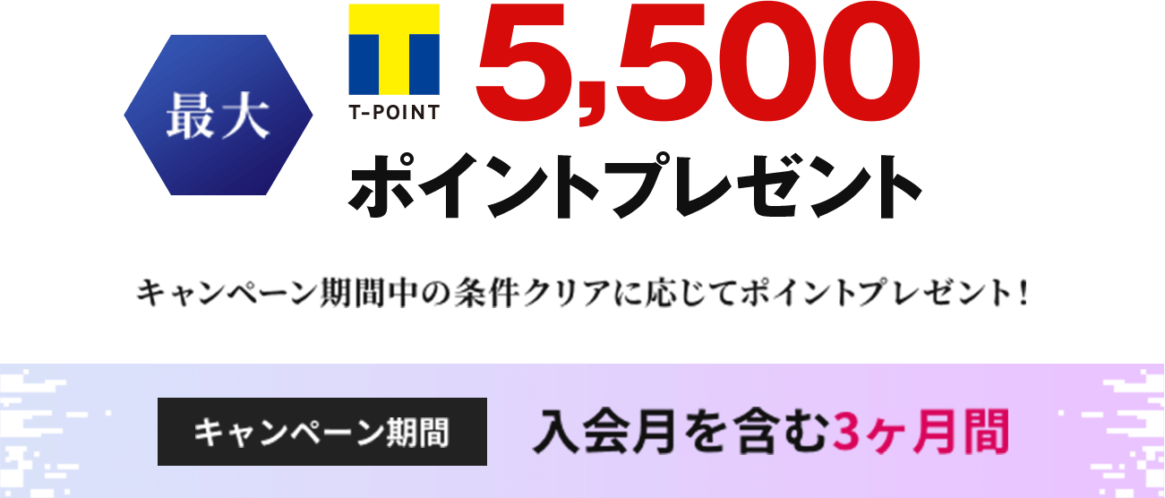 最大T-POINT 5,500ポイントプレゼント キャンペーン期間中の条件クリアに応じてポイントプレゼント! キャンペーン期間入会月を含む3ヶ月間