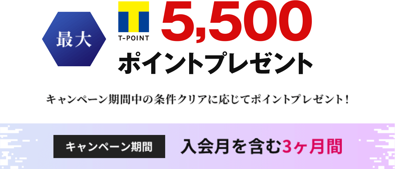 最大T-POINT 5,500ポイントプレゼント キャンペーン期間中の条件クリアに応じてポイントプレゼント！ キャンペーン期間入会月を含む3ヶ月間