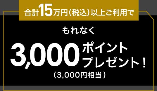 合計15万円（税込）以上ご利用でもれなく3000ポイント（3,000円相当）プレゼント！