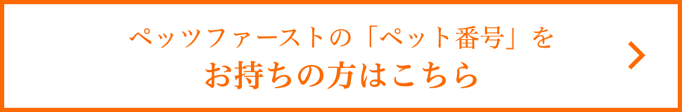 基本情報はこちら