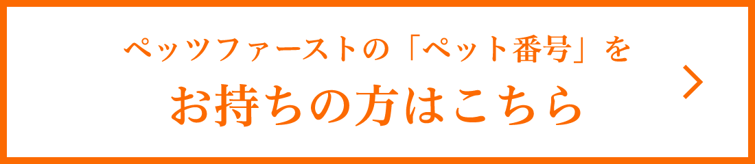 基本情報はこちら