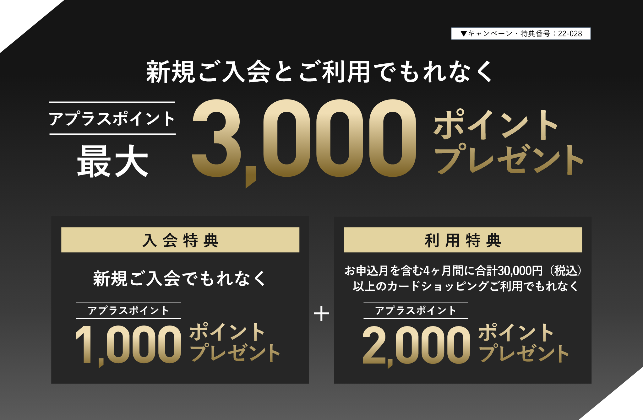 ▼キャンペーン・特典番号：22-028 新規ご入会とご利用でもれなく アプラスポイント最大3,000ポイントプレゼント 入会特典 新規ご入会でもれなく アプラスポイント1,000ポイントプレゼント 利用特典 お申込月を含む4ヶ月間に30,000円（税込）以上のカードショッピングご利用でもれなく アプラスポイント2,000ポイントプレゼント