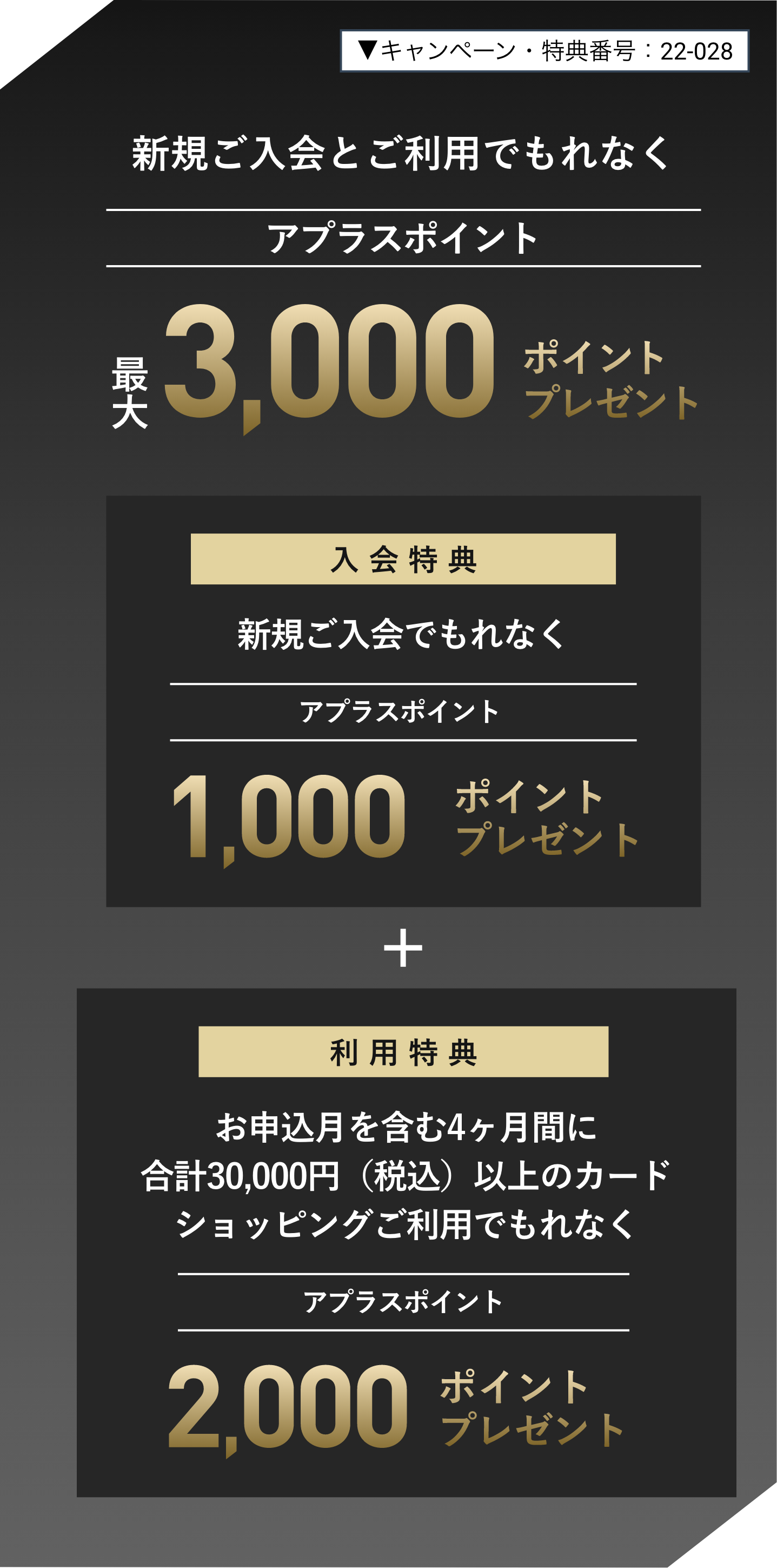 ▼キャンペーン・特典番号：22-028 新規ご入会とご利用でもれなく アプラスポイント最大3,000ポイントプレゼント 入会特典 新規ご入会でもれなく アプラスポイント1,000ポイントプレゼント 利用特典 お申込月を含む4ヶ月間に30,000円（税込）以上のカードショッピングご利用でもれなく アプラスポイント2,000ポイントプレゼント