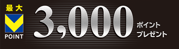 最大 V-POINT 3000ポイントプレゼント
