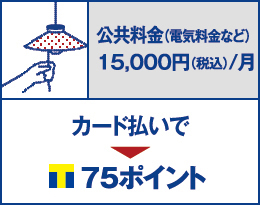 公共料金（電気料金など） 15,000円（税込）/月 を カード払いで75ポイント貯まります