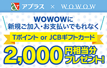 さまざまな会員様のニーズにお応えする カード会員様向けwebサービスnetstation Aplus アプラス 新生銀行グループ さまざまな会員様のニーズにお応えする カード会員様向けwebサービスnetstation Aplus アプラス 新生銀行グループ