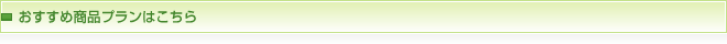 おすすめ商品プランはこちら
